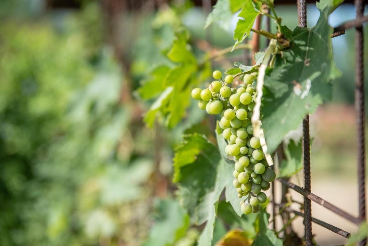 Villetta Corbezzolo 圣特奥多罗 外观 照片